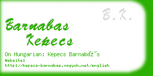 barnabas kepecs business card